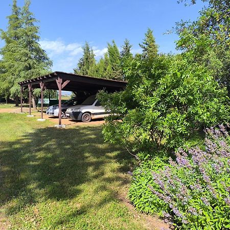Casas Rurales Tabla Honda El Robledo  エクステリア 写真
