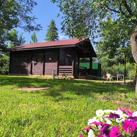 Casas Rurales Tabla Honda El Robledo  エクステリア 写真
