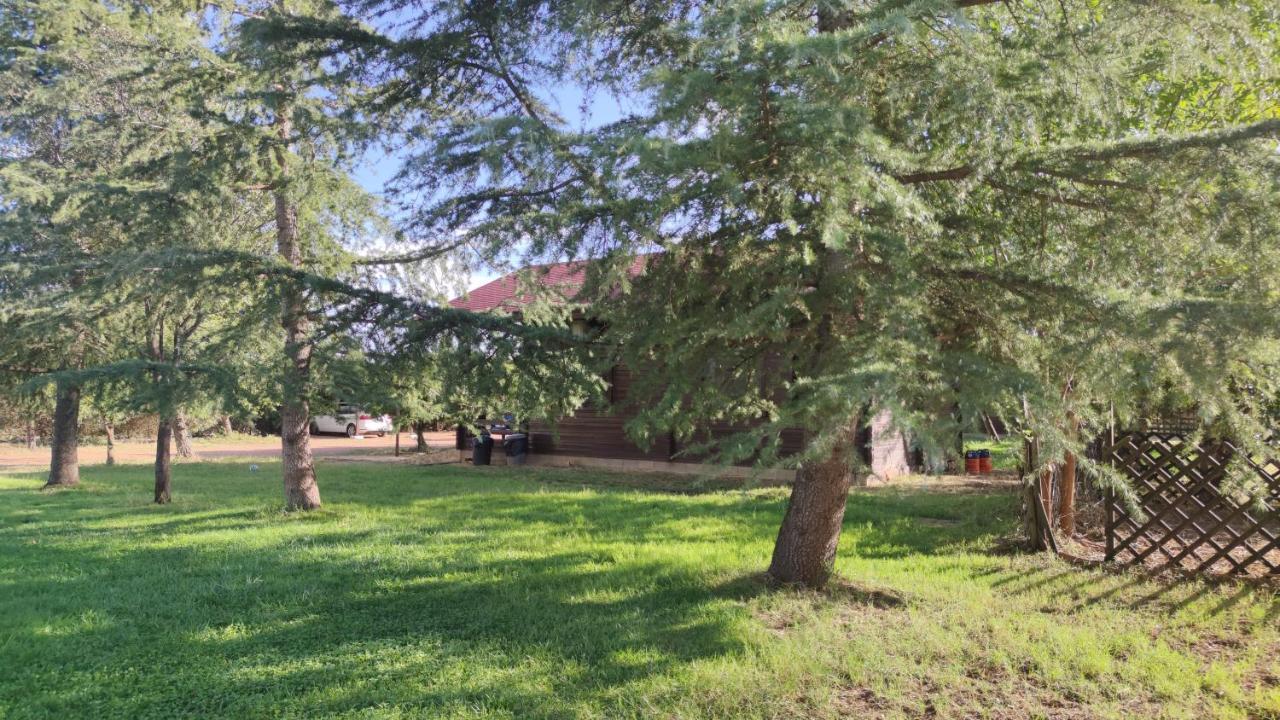 Casas Rurales Tabla Honda El Robledo  エクステリア 写真