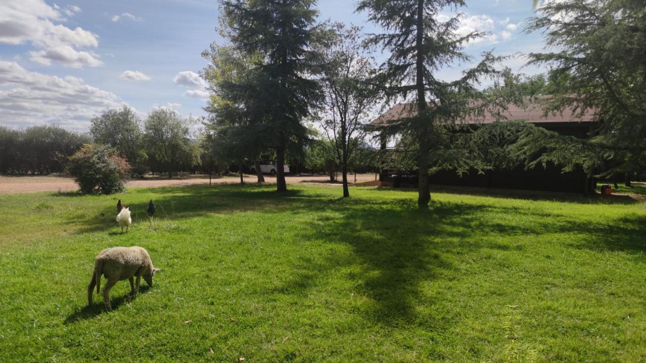 Casas Rurales Tabla Honda El Robledo  エクステリア 写真