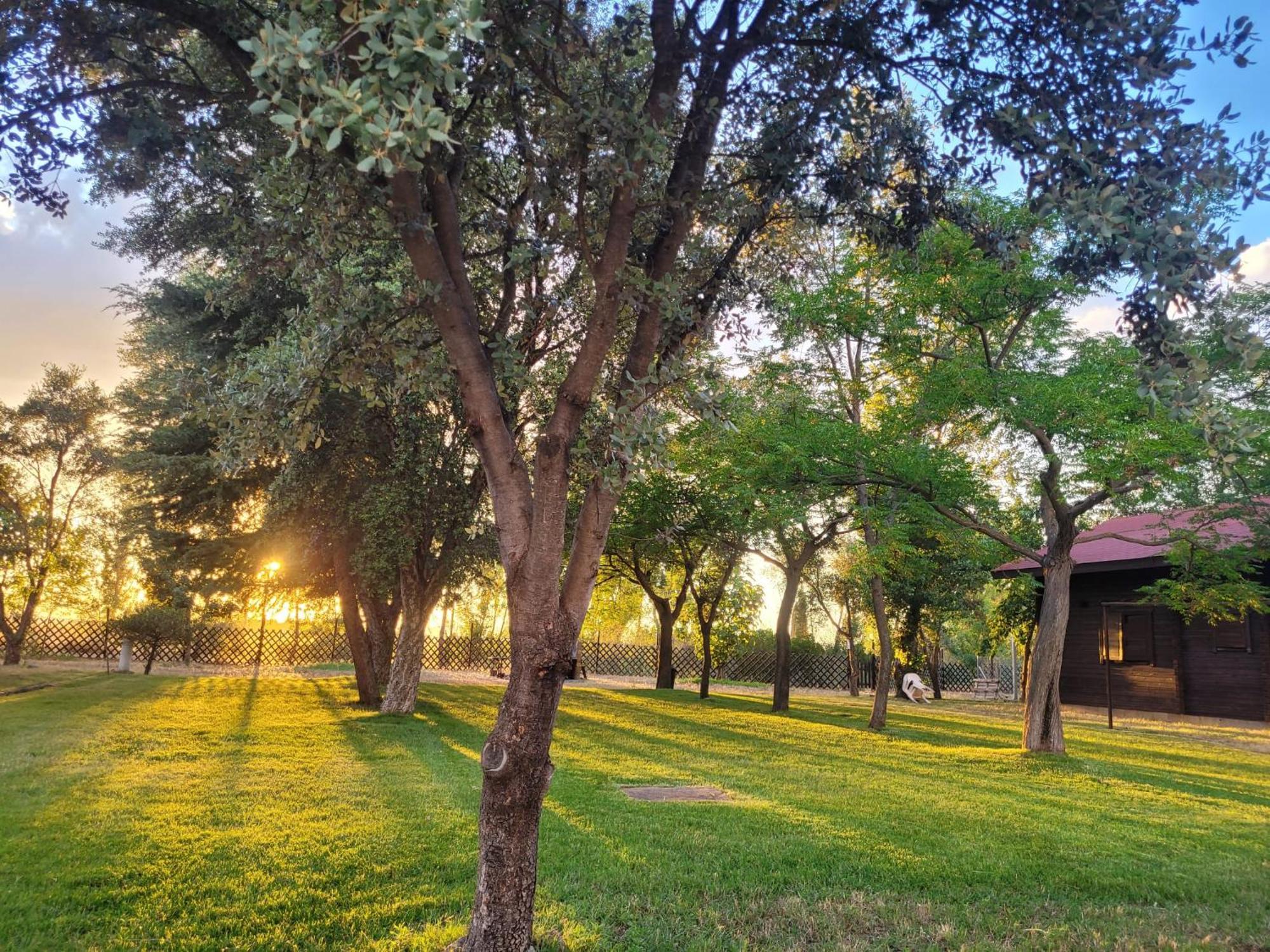 Casas Rurales Tabla Honda El Robledo  エクステリア 写真