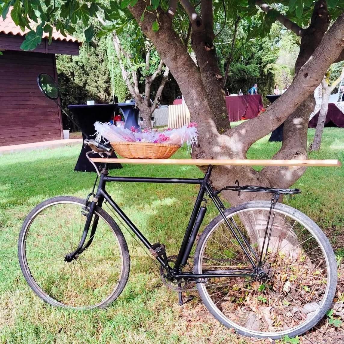 Casas Rurales Tabla Honda El Robledo  エクステリア 写真