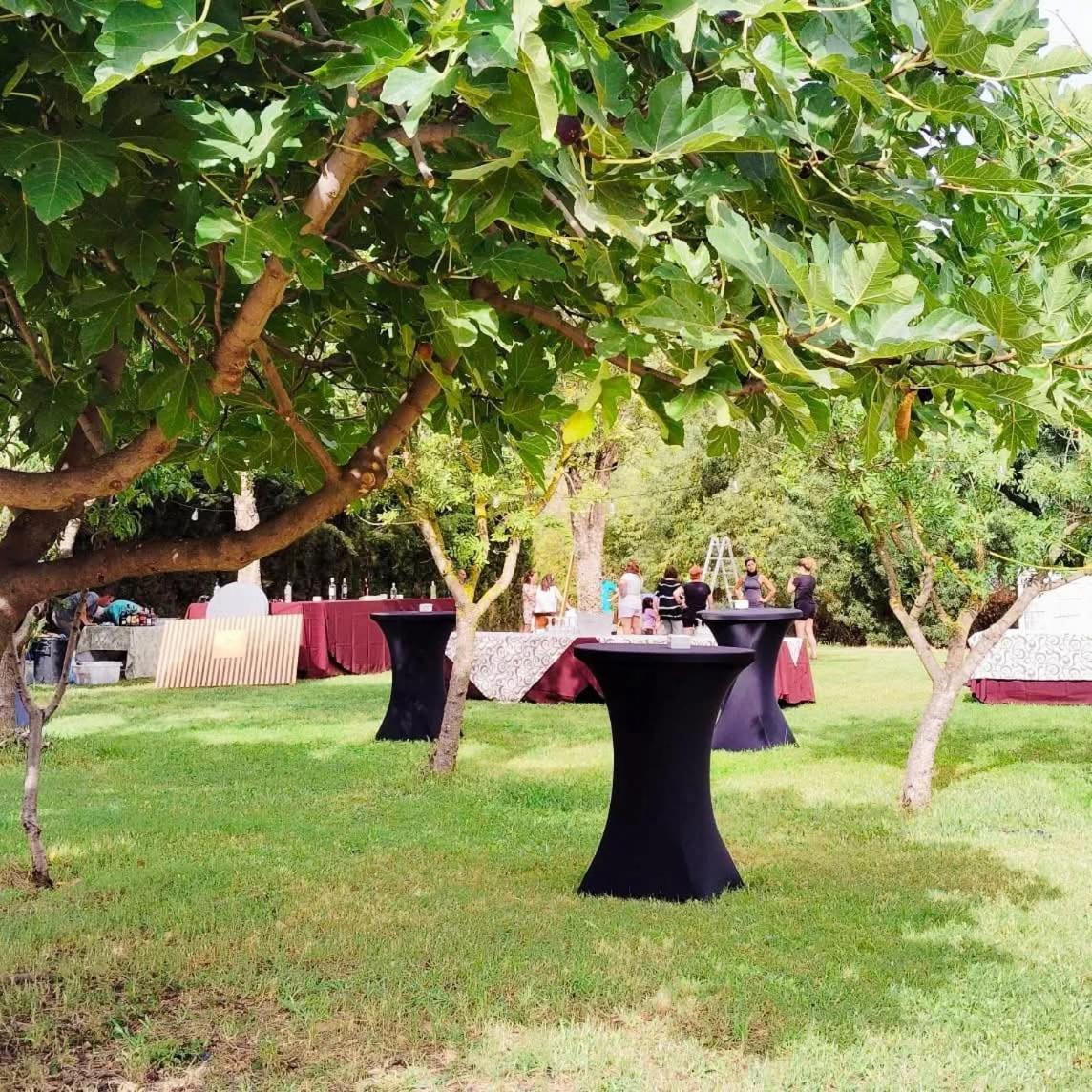 Casas Rurales Tabla Honda El Robledo  エクステリア 写真